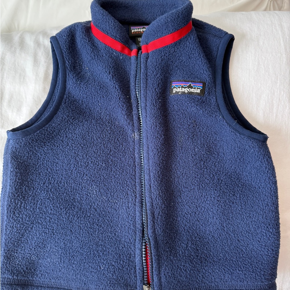 Patagonia Blue Fleece Vest